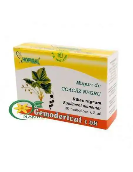 Gemoderivat Muguri de Coacaz Negru Hofigal, REDUCERI