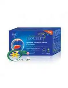 InoCell 60cps, Terapia Diabetului