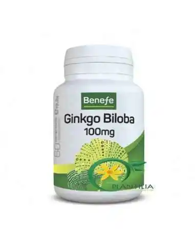 Ginkgo Biloba 100mg 60 cpr Alevia, Sistemul nervos