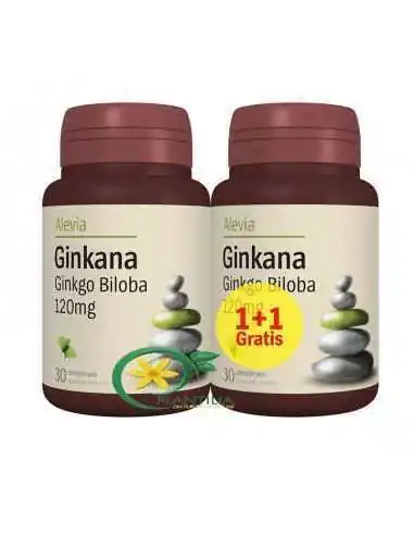 Ginkana 120mg 1+1 Gratis Alevia, Sistemul nervos