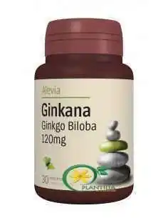 Ginkana 120mg  Alevia, Sistemul nervos