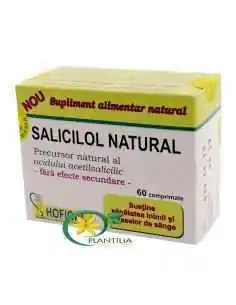 Salicilol Natural 60 cpr Hofigal, REMEDII NATURISTE