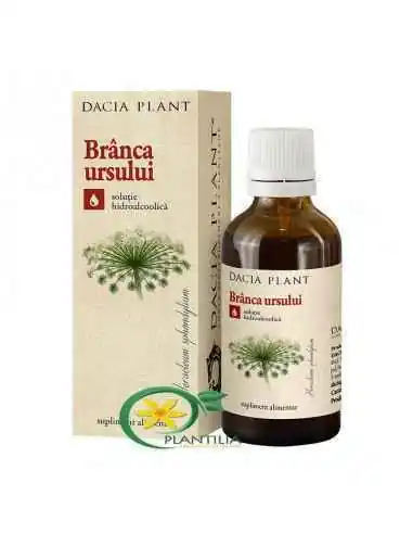 Tinctura Branca Ursului 50 ml Dacia Plant, TINCTURI CU ALCOOL