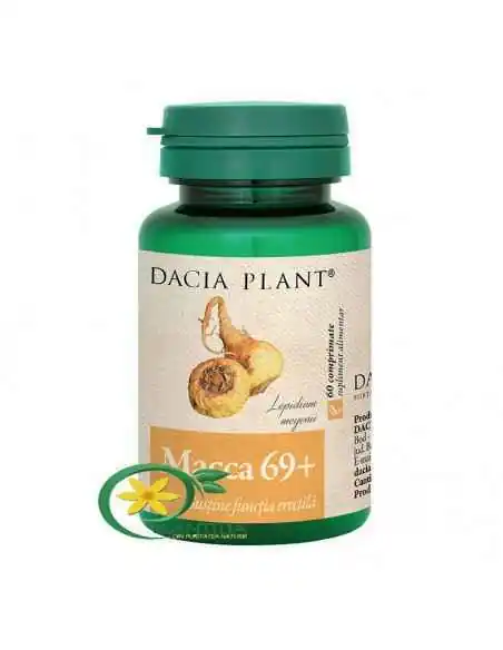 Macca 60 cpr Dacia Plant, Stres