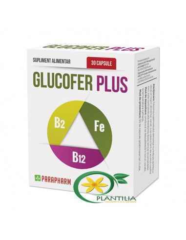 Glucofer Plus 30cps Parapharm
Produsul Glucofer Plus este un supliment alimentar destinat exclusiv persoanelor ce prezintă defic