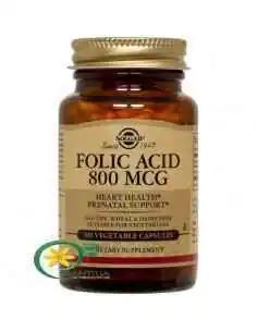 Acid Folic 800mcg 100 tablete Solgar, Sistemul nervos