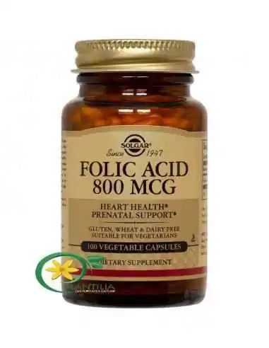 Acid Folic 800mcg 100 tablete Solgar, Sistemul nervos