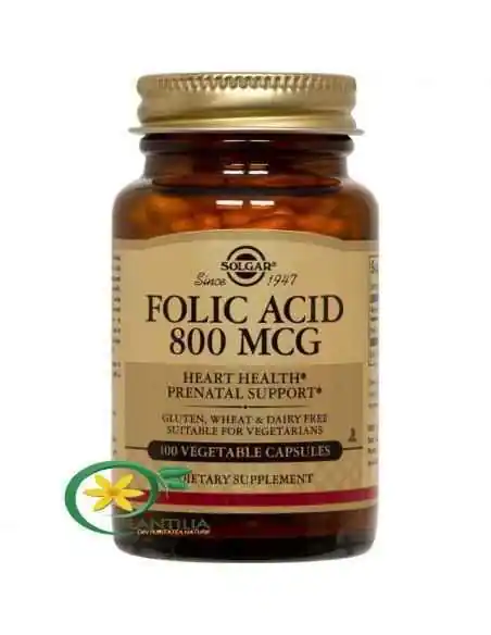 Acid Folic 800mcg 100 tablete Solgar, Sistemul nervos