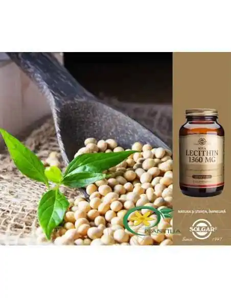 Lecitina 1360 mg 100 cps Solgar, Sistemul nervos