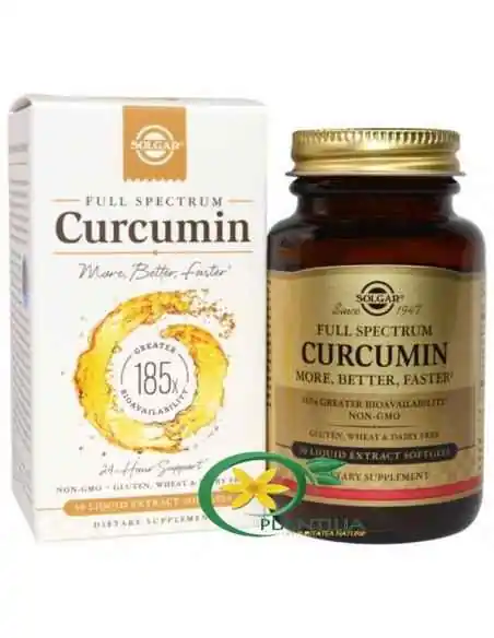 Curcumin Full Spectrum 30 cps Solgar, Sistemul nervos