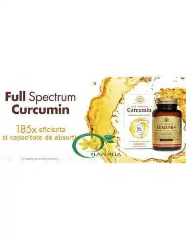 Curcumin Full Spectrum 30 cps Solgar, Sistemul nervos