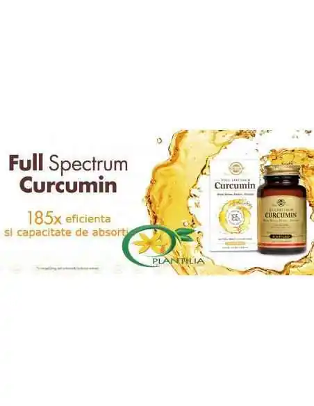 Curcumin Full Spectrum 30 cps Solgar, Sistemul nervos