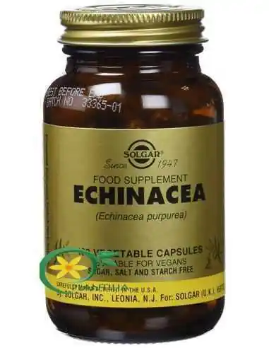 Echinacea 100 cps Solgar, REMEDII NATURISTE