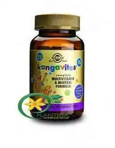 Kangavites Multivitamine si Minerale 60 cpr Solgar, VITAMINE SI MINERALE