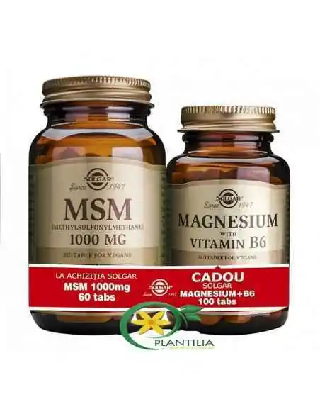MSM 60 tb + Magneziu cu B6 100 tb GRATUIT  Solgar, REMEDII NATURISTE