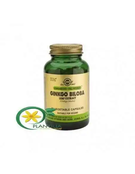 Extract din Frunze de Ginkgo Biloba 60 cps Solgar, Sistemul nervos