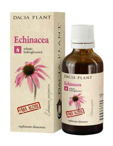Tinctura Echinacea fara alcool 50ml Dacia Plant
Extractul de Echinacea fără alcool este un produs obţinut din părţileaeriene ale