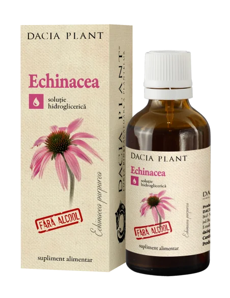 Tinctura Echinacea fara alcool 50ml Dacia Plant, TINCTURI FARA ALCOOL