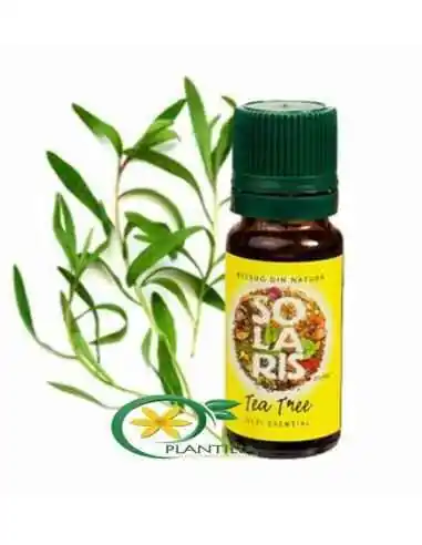 Ulei Esential  Tea Tree 10 ml Solaris, ULEIURI ESENTIALE