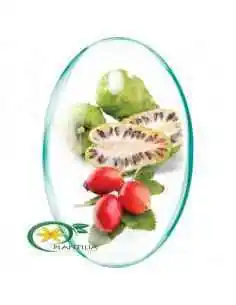 Noni + Vitamina C Naturala Rotta Natura, REMEDII NATURISTE 2