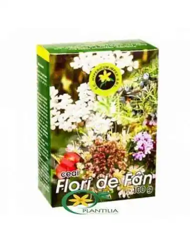 Flori de Fan 100g Hypericum, Sanatatea pielii