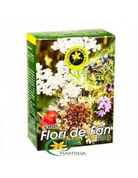 Flori de Fan 100g Hypericum, Sanatatea pielii