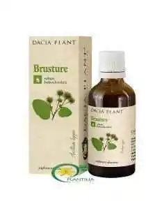 Tinctura Brusture 50ml Dacia Plant, TINCTURI CU ALCOOL