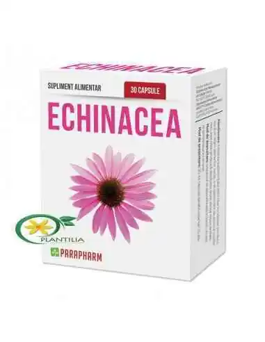 Echinacea 30cps Parapharm, REMEDII NATURISTE