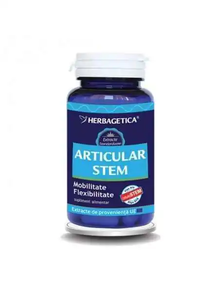 Articular Stem 60 capsule Herbagetica, Sistemul nervos
