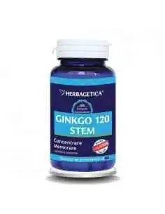 GINKGO 120 STEM 60 capsule Herbagetica, Stres 2