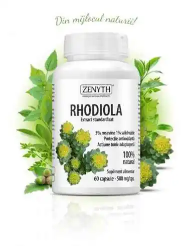 Rhodiola extract 60cps - Zenyth, Sistemul nervos