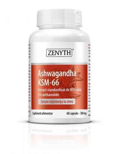 Ashwagandha KSM-66 60cps - Zenyth
Aliatul omului modern în lupta contra stresului și sindromului burnout. Ashwagandha (Withania