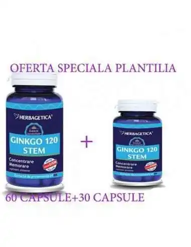 GINKGO 120 STEM 60+30 capsule Herbagetica, Stres