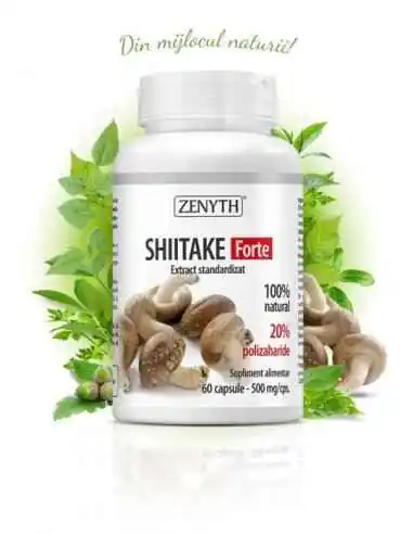 Shiitake Forte 60cps - Zenyth, Tulburari Hormonale