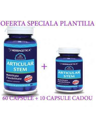 Articular Stem 60 +10 capsule CADOU Herbagetica
Stimulează refacerea țesuturilor cartilaginoase din articulații prin stimularea 