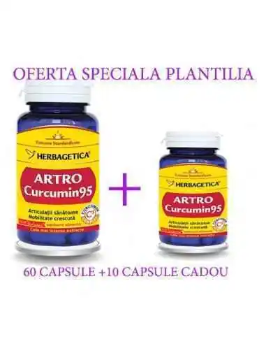 Artro Curcumin 95 60+10 cps CADOU Herbagetica, REMEDII NATURISTE