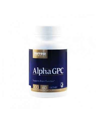 ALPHA GPC 60CPS - Secom, Stres