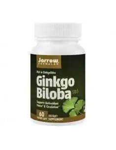 GINKGO BILOBA 60CPS - Secom 2
