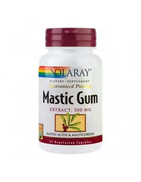 MASTIC GUM 45CPS - Secom, REMEDII NATURISTE