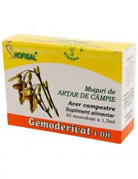 GEMODERIVAT MUGURI DE ARTAR - Hofigal, REMEDII NATURISTE