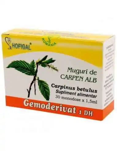 GEMODERIVAT MUGURI DE CARPEN ALB - Hofigal, REMEDII NATURISTE