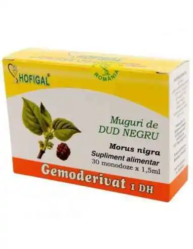 GEMODERIVAT MUGURI DE DUD NEGRU - Hofigal, Terapia Diabetului