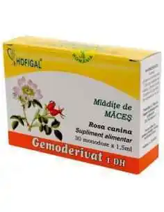 GEMODERIVAT MLADITE DE MACES - Hofigal, REMEDII NATURISTE