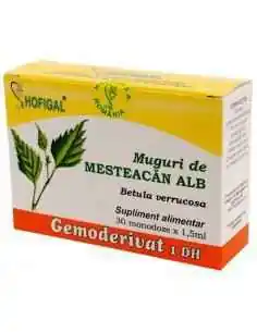 GEMODERIVAT MUGURI DE MESTEACAN ALB - Hofigal, REMEDII NATURISTE