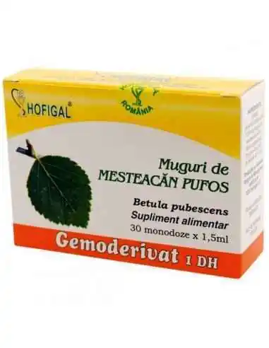 GEMODERIVAT MUGURI DE MESTEACAN PUFOS - Hofigal, REMEDII NATURISTE