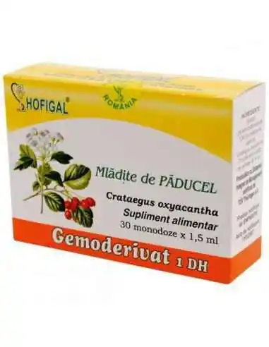 GEMODERIVAT MLADITE DE PADUCEL - Hofigal, REMEDII NATURISTE