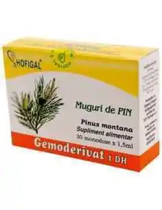 GEMODERIVAT MUGURI DE PIN - Hofigal, REMEDII NATURISTE