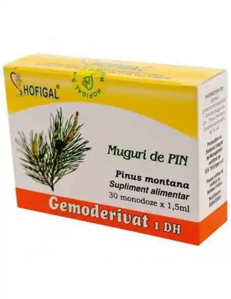 GEMODERIVAT MUGURI DE PIN - Hofigal, REMEDII NATURISTE