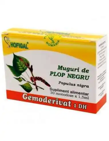 GEMODERIVAT MUGURI DE PLOP NEGRU - Hofigal, REMEDII NATURISTE