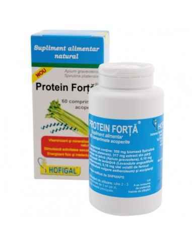 PROTEIN FORTA 60CPR - Hofigal, REMEDII NATURISTE